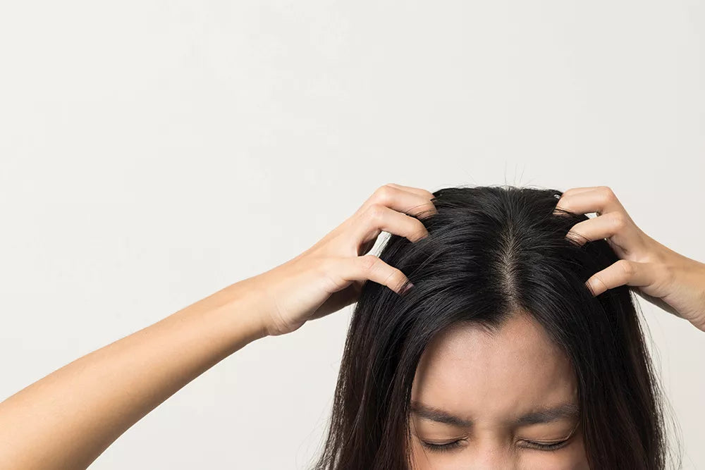 Dry, Itchy Scalp? Find Out Why & How to Fix It