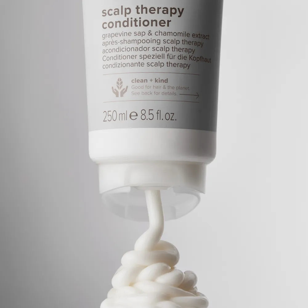 Paul Mitchell Clean Beauty Scalp Therapy Conditioner